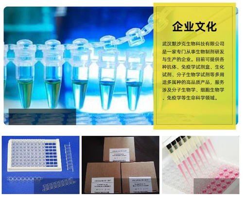 elisa試劑盒現貨電話 本信息長期有效