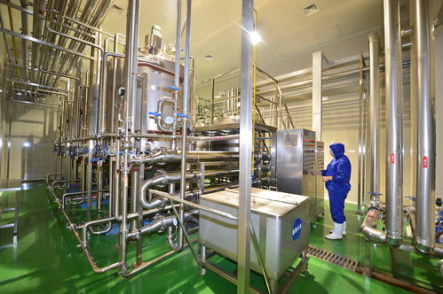 山東榮成市金槍魚(yú)深加工膠原蛋白肽成新寵