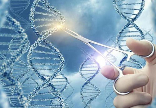 逆轉衰老技術最新突破,貝索斯200億投資引領下一代延長壽命工藝