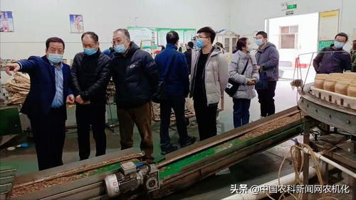 陜西省食用菌產(chǎn)業(yè)技術體系專家走進眾興高科