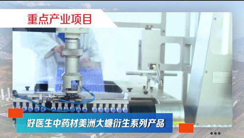 第20集 項(xiàng)目建設(shè)