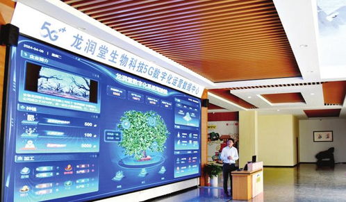 創(chuàng)新轉(zhuǎn)型乘風(fēng)起數(shù)智新生態(tài)浪潮奔涌