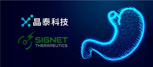 晶泰科技攜手希格生科，推動(dòng)彌漫性胃癌項(xiàng)目獲重大進(jìn)展